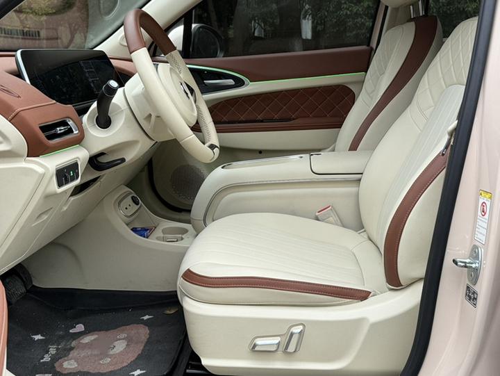 Good Cat 2023 401km Standard Range Luxury LFP photo 7