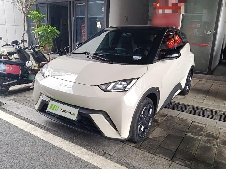 Seagull 2025 305km