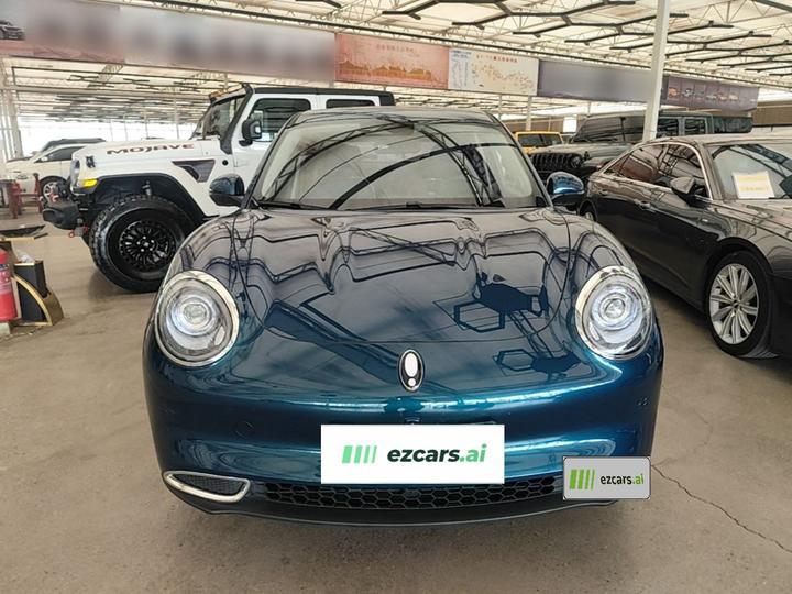 Good Cat 2024 401km Luxury photo 2