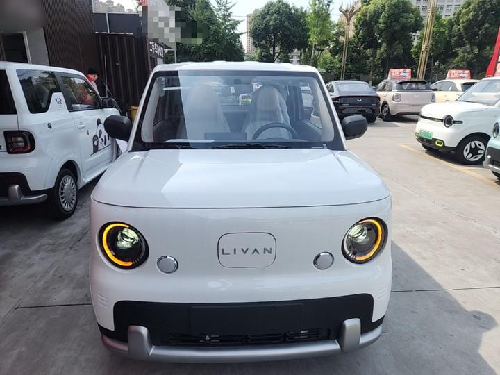 Livan 2025 photo 2