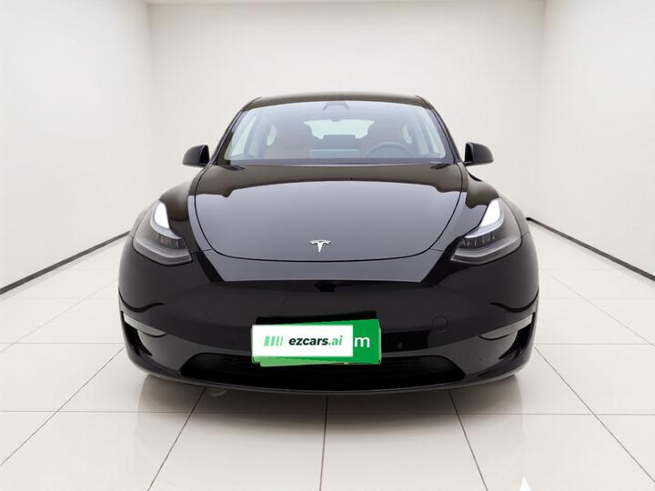 Model Y 2021 Standard Range RWD photo 2