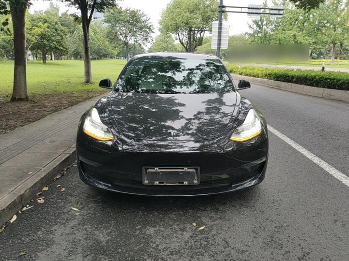 Model 3 Imported 2019 Long Range RWD photo 2