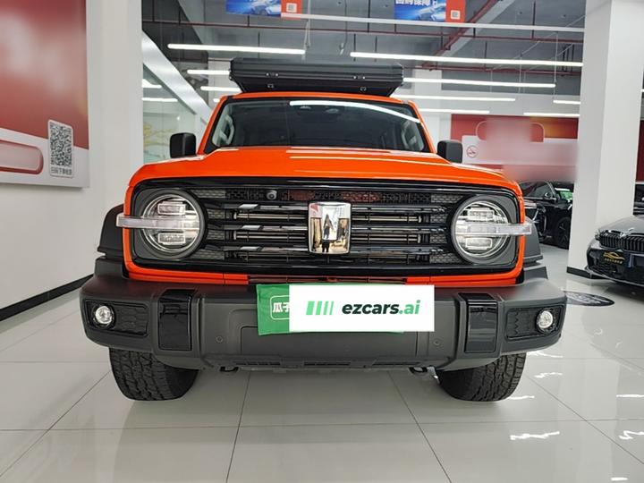300 2024 2.0T Conqueror photo 2