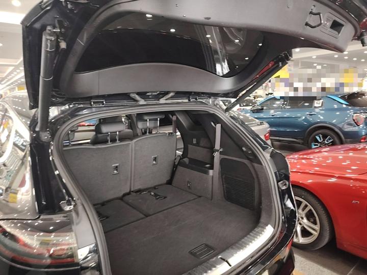 X 2020 PHEV Flagship photo 8