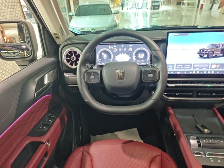 300 2025 2.0T Petrol Conqueror photo 6