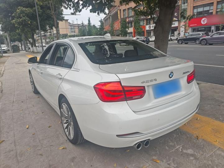 3 Series 2019 320Li Fashion photo 4