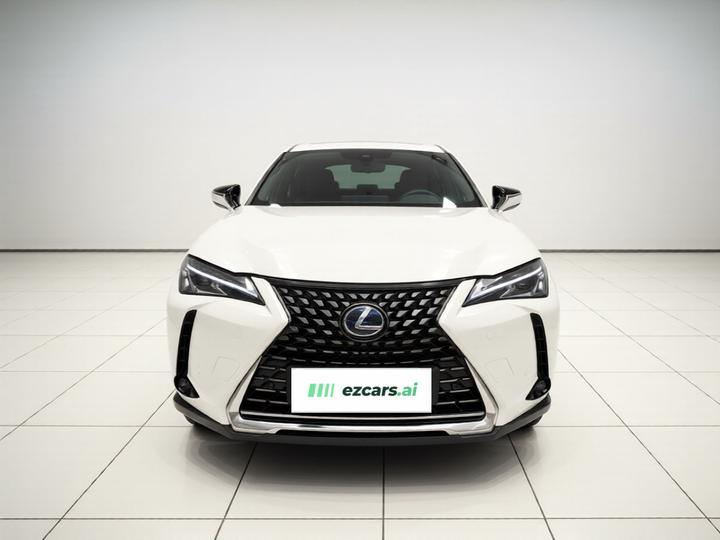 UX EV 2020 300e photo 2