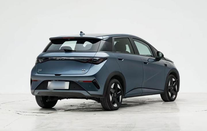 Dolphin 2025 ADAS 410km Fashion photo 5