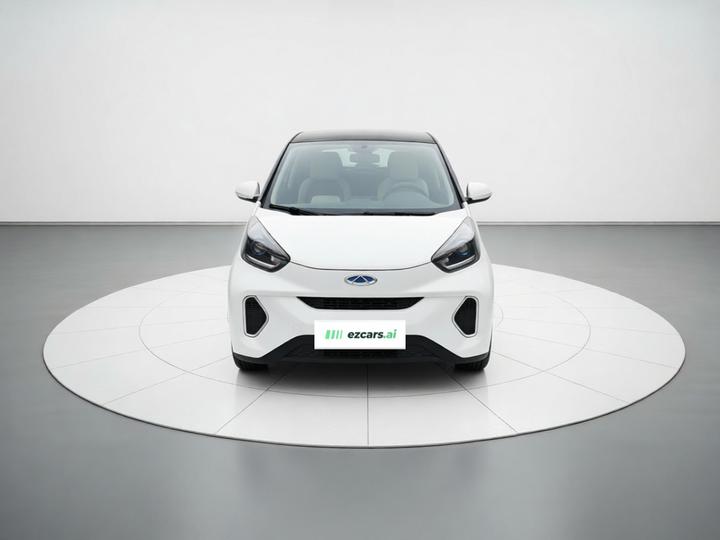 QQ Little Ant 2021 15 LFP photo 2