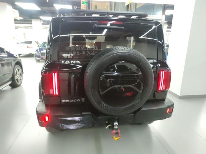 300 2023 Off-road 2.0T Conqueror photo 3