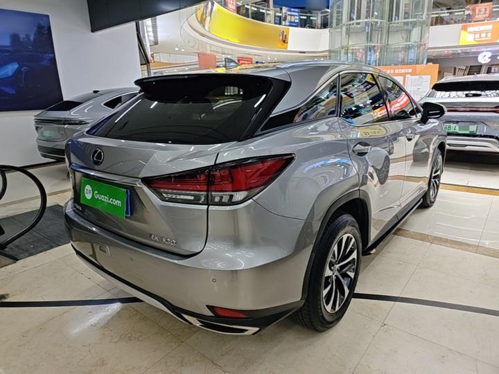RX 2020 Facelift 300 RWD Elite photo 6