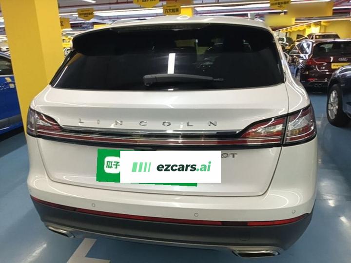 Nautilus Imported 2019 2.0T RWD Exclusive China VI photo 3