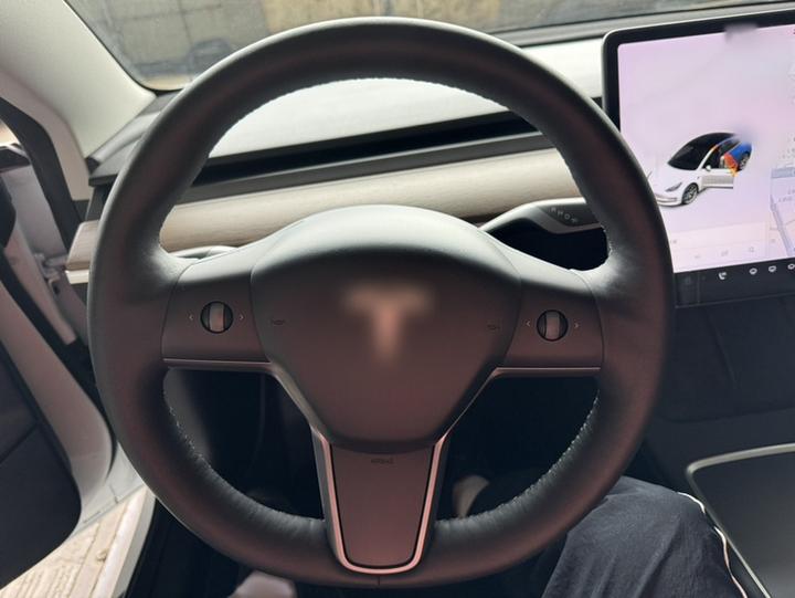 Model 3 2021 Facelift Standard Range RWD Upgraded 3D1 photo 3