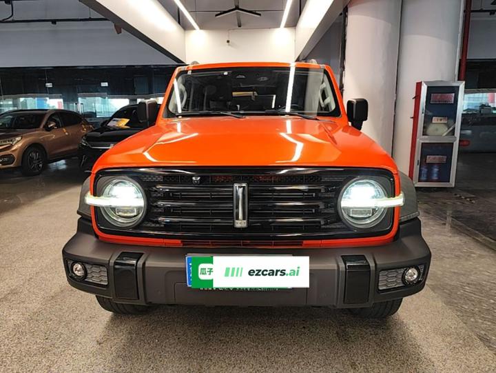 300 2021 Off-road 2.0T photo 2