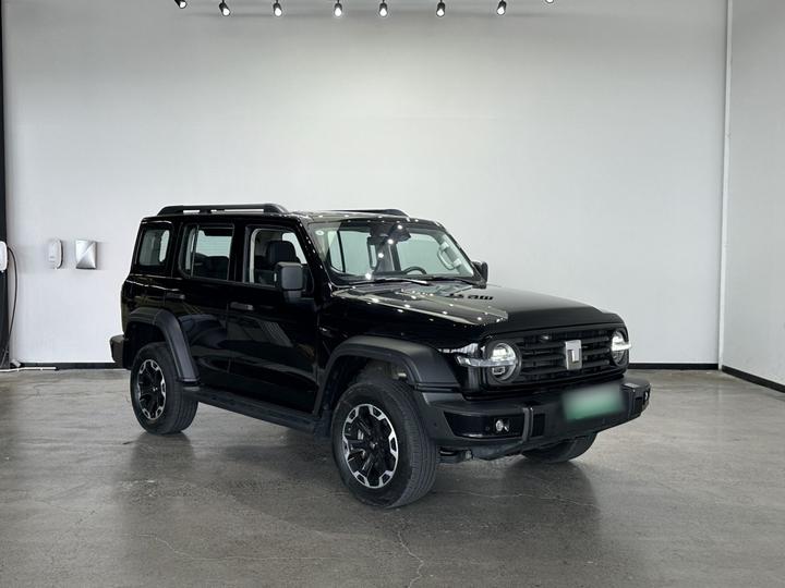 300 EV 2025 Hi4-T 37.1kWh photo 2