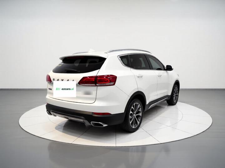 H6 2018 Blue Label 1.5T AT Luxury photo 6