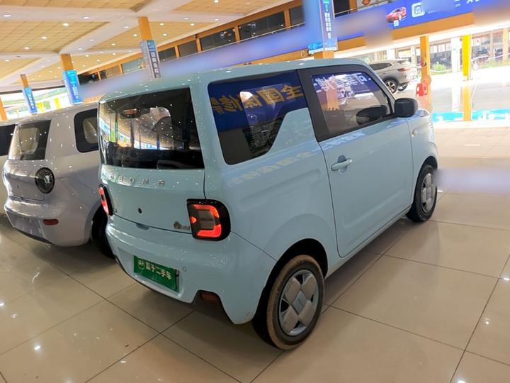 2023 Panda mini 200km Endurance Bear photo 4