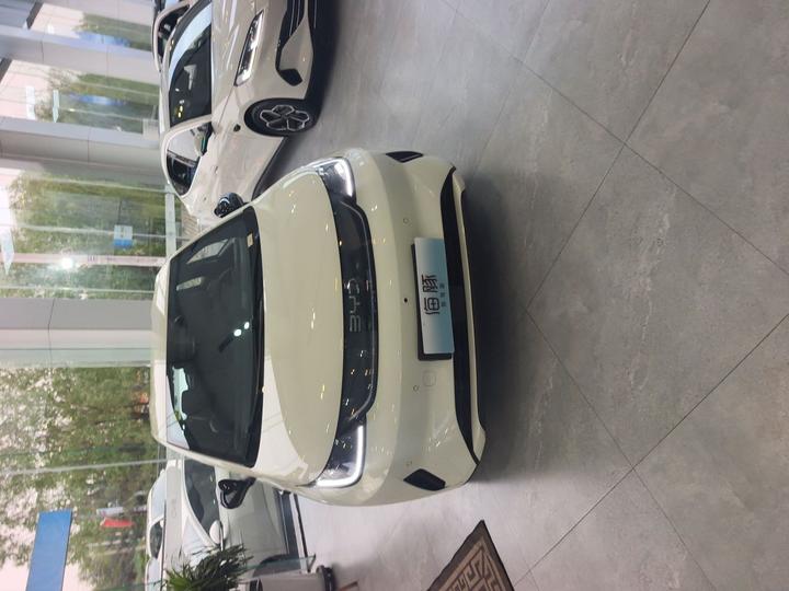 Dolphin 2025 ADAS 420km photo 2