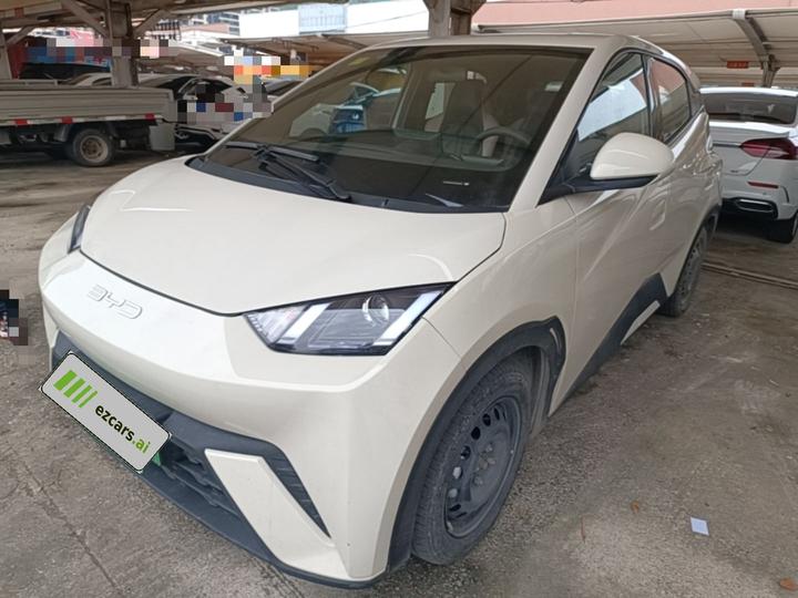 Seagull 2025 305km