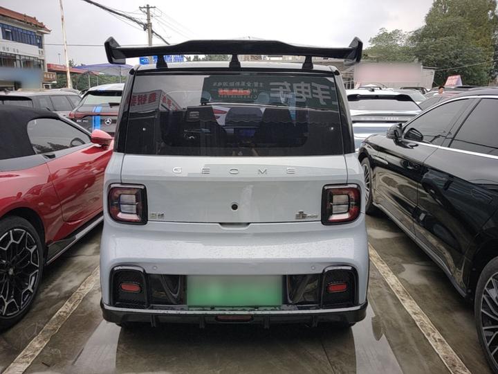 2025 210km Panda photo 3