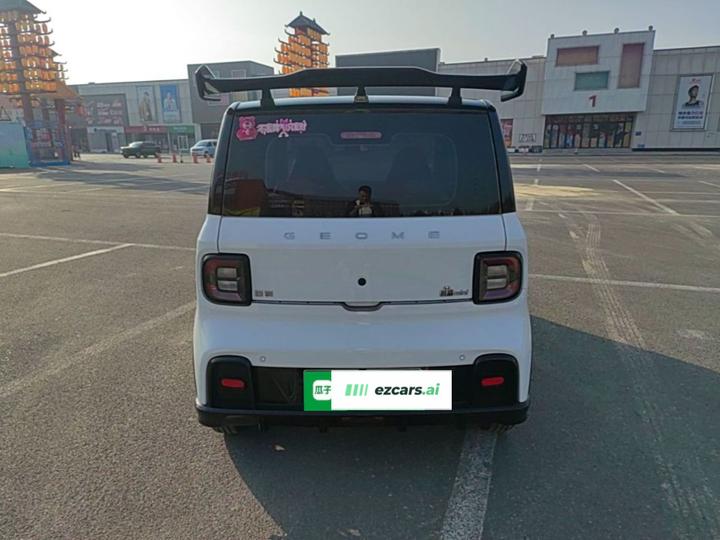 2025 210km Panda photo 5