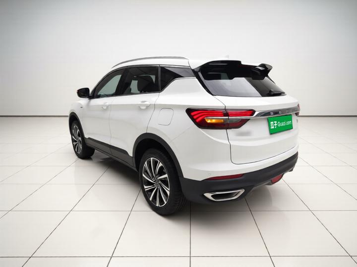 Binyue 2019 260T DCT China VI photo 4