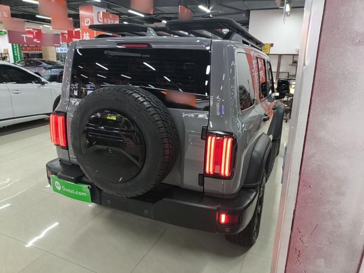 300 2021 Off-road 2.0T Conqueror photo 6
