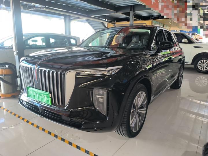 E-HS9 2021 460km 6-Seater