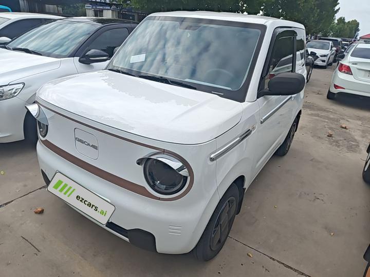2024 Panda mini 200km Endurance Bear