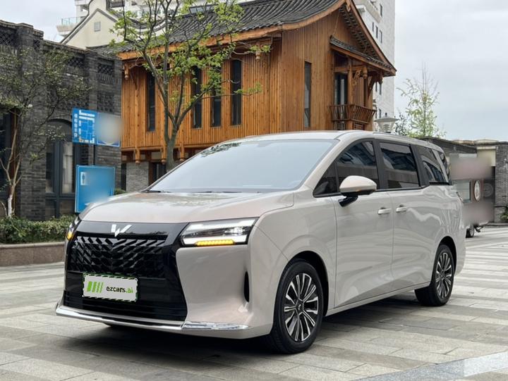 730 EV 2025 125km Luxury