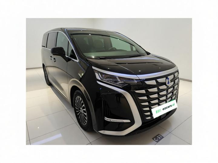 D9 2024 DM-i 980 AWD Premium photo 3