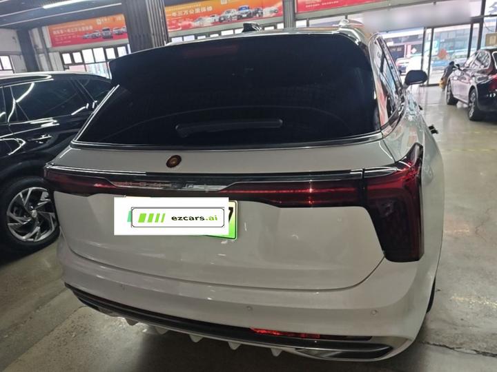 E-HS9 2021 460km 6-Seater photo 5