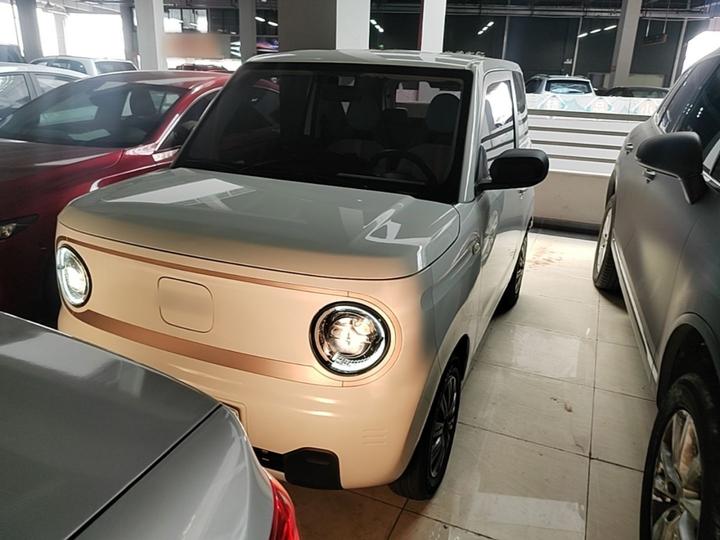 2023 Panda mini 200km Endurance Bear