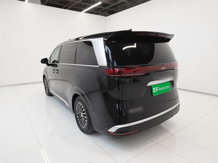 D9 2024 DM-i 980 AWD Premium photo 4