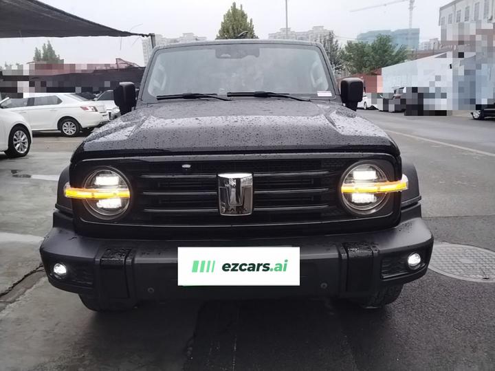 300 2021 Off-road 2.0T Conqueror photo 2