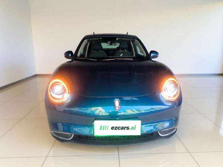 Good Cat 2022 400km Standard Range Premium NCM photo 2
