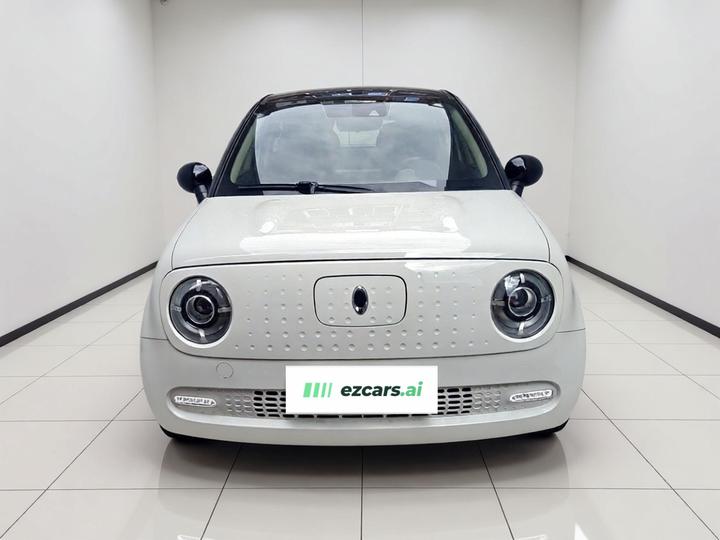 2021 351km Luxury photo 2