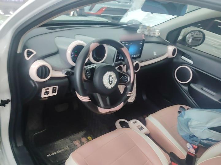 2022 Facelift 301km LFP photo 5