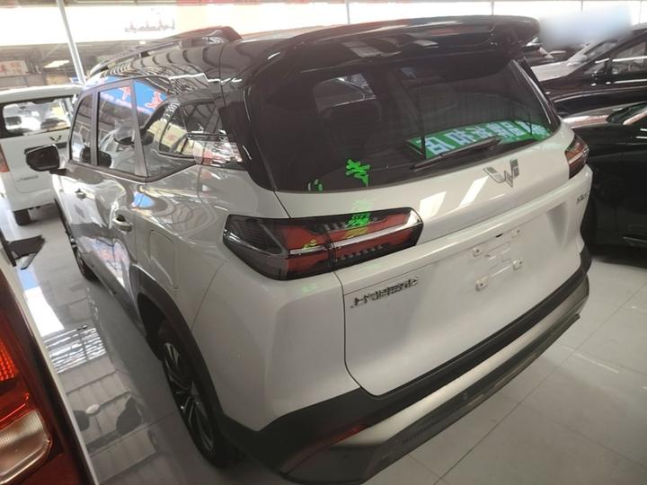 560 EV 2026 EV 500km Luxury photo 4