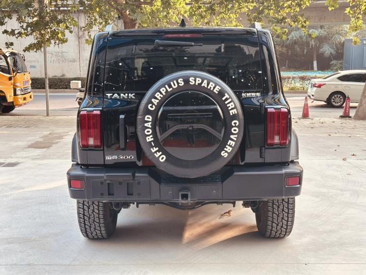 300 2023 Off-road 2.0T photo 5