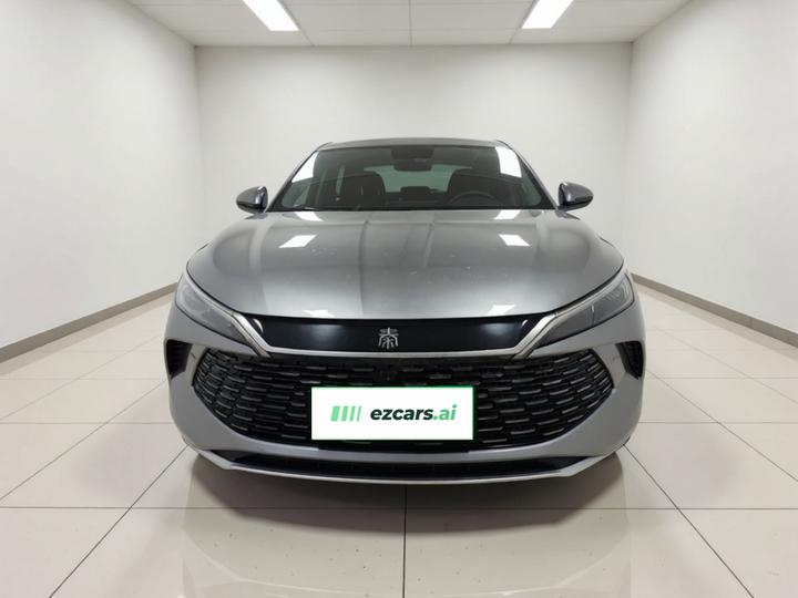 Qin L 2024 DM-i 80KM photo 2