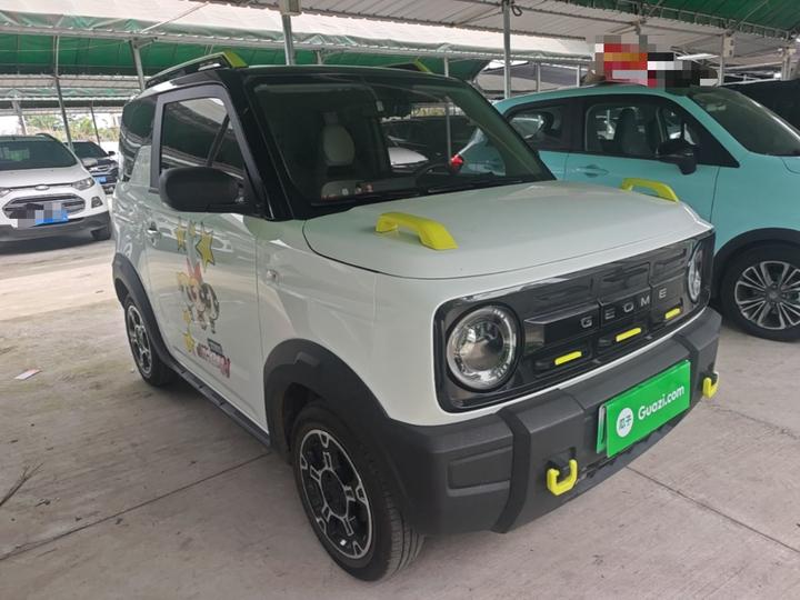 2025 210km Panda photo 3
