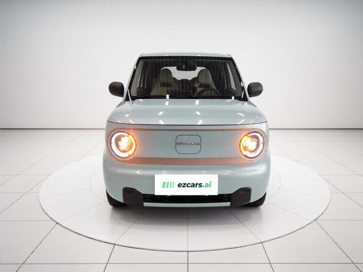 2024 Panda mini 200km Endurance Bear photo 2