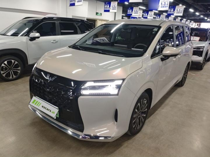 730 EV 2025 125km Luxury