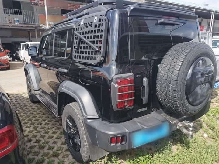300 2021 Off-road 2.0T Conqueror photo 4