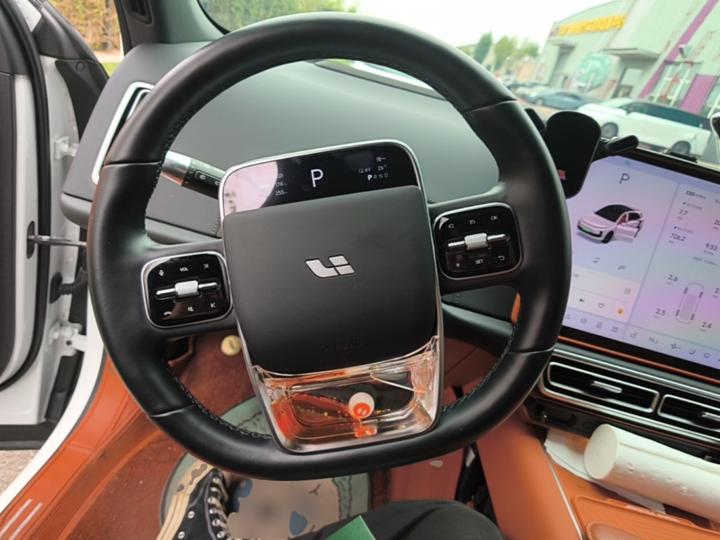 Li Auto L6 2024 Max photo 6