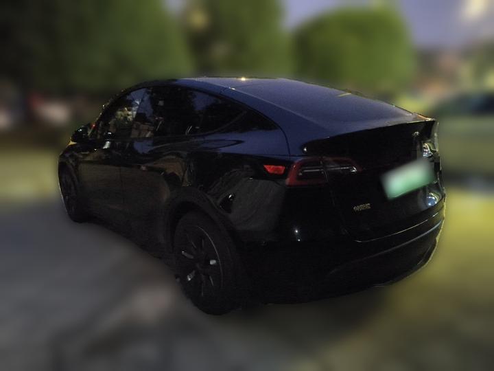 Model Y 2021 Standard Range RWD photo 4