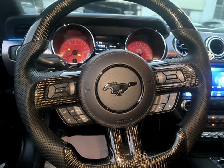 Mustang Parallel Import photo 6