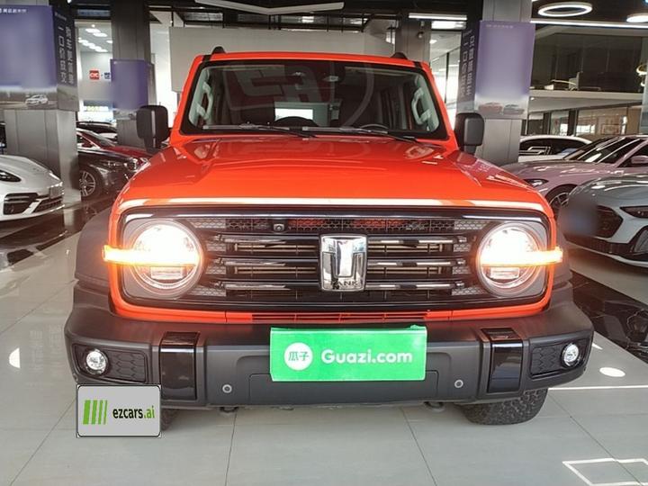 300 2021 Off-road 2.0T Conqueror photo 2