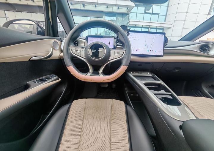 Dolphin 2025 ADAS 410km Fashion photo 2